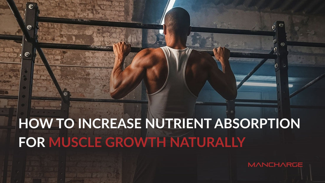 How to Increase Nutrient Absorption for Muscle Growth Naturally - Mancharge