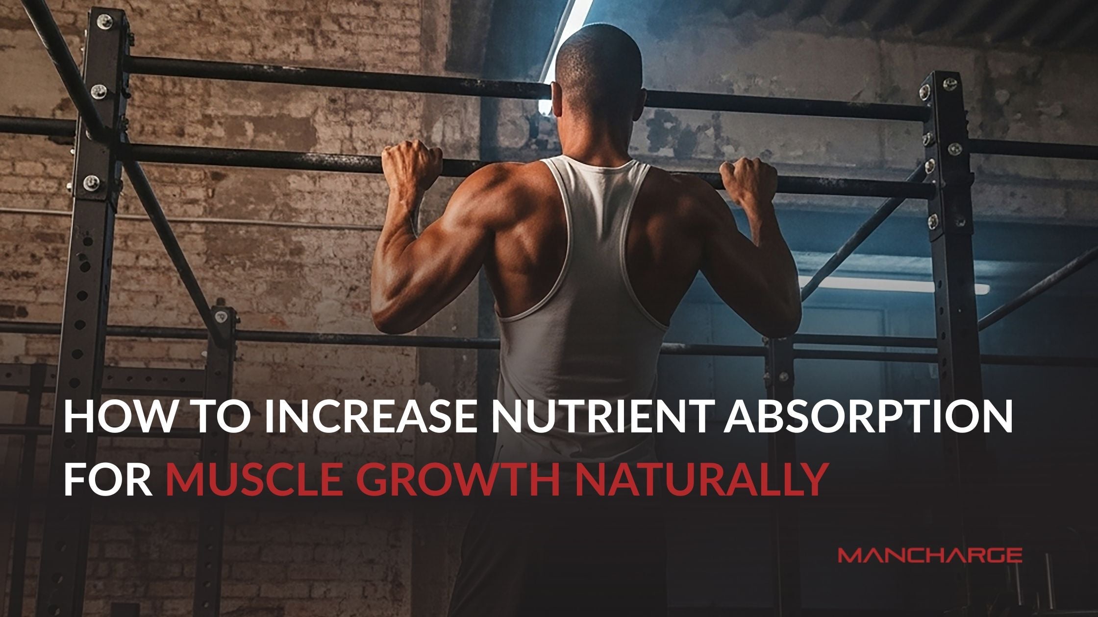 How to Increase Nutrient Absorption for Muscle Growth Naturally - Mancharge