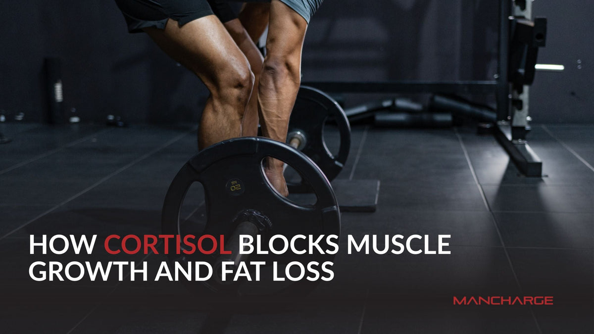 How Cortisol Blocks Muscle Growth and Fat Loss - Mancharge